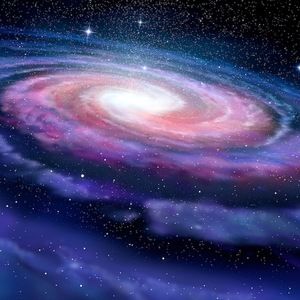 Meet your Posher, Chase